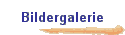 Bildergalerie