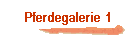 Pferdegalerie 1  